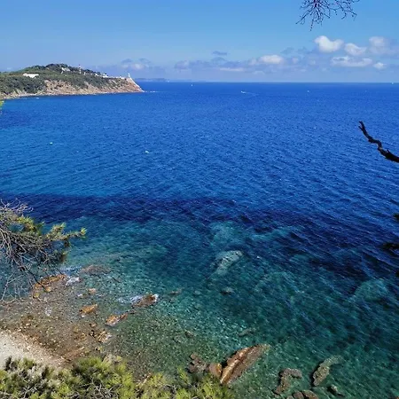 Petit Paradis Avec Jardin Et Clim T2 Saint-Mandrier-sur-Mer Exterior photo